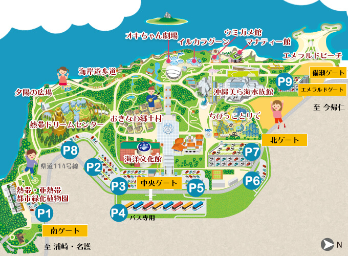 海洋博公園の駐車場